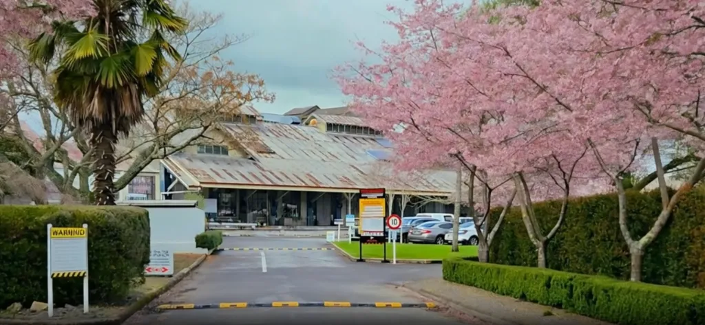 Shae Beauty Studio at Matangi Factory